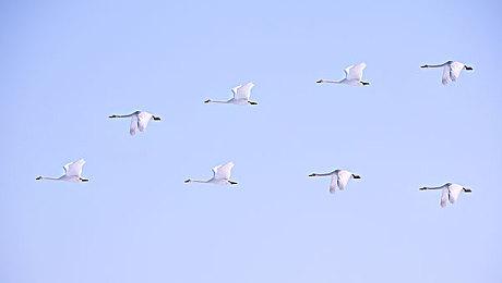 《神奇魔法师》于今日上线，首发85折！